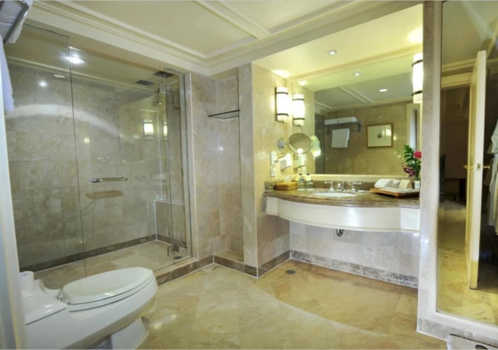 Hotel Borobudur Jakarta - photo 7