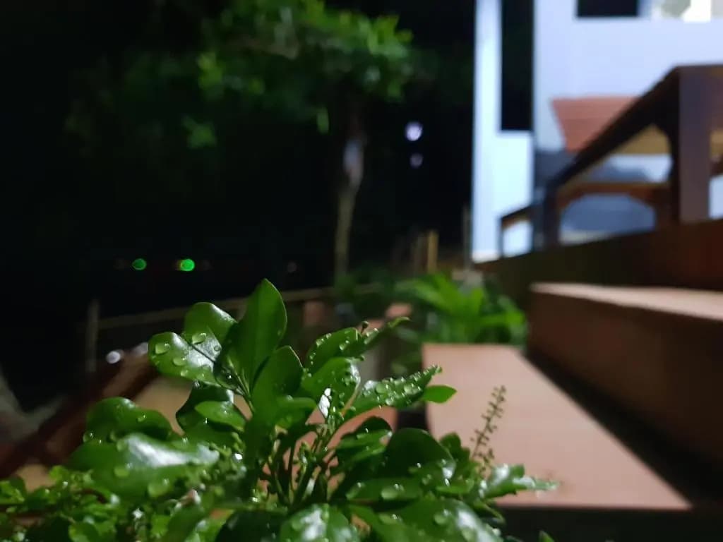 sunset beach house - photo 12