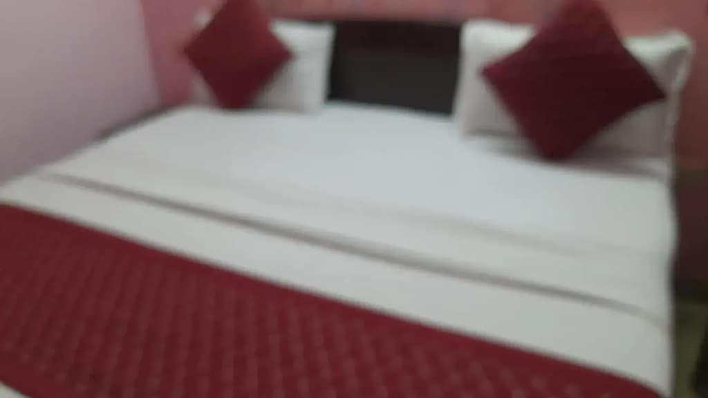 Airport Hotel Parikshit Palace - photo 14