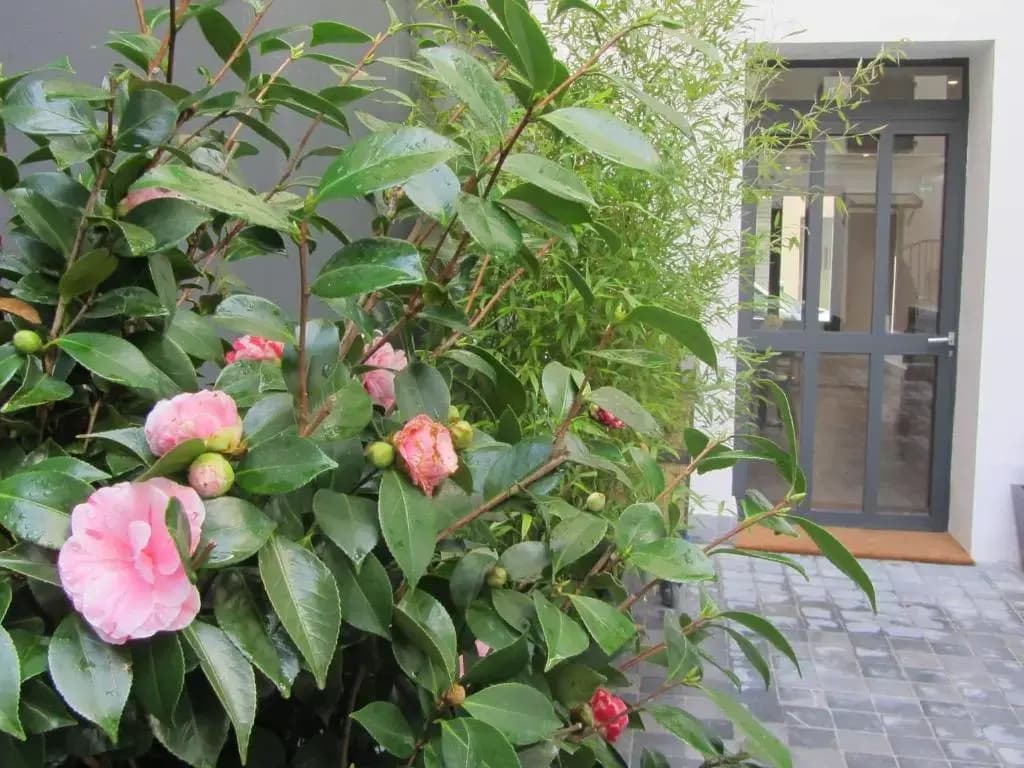 Hotel Mirabeau Eiffel - photo 10