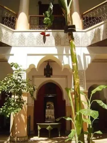 Riad Chraibi - photo 5