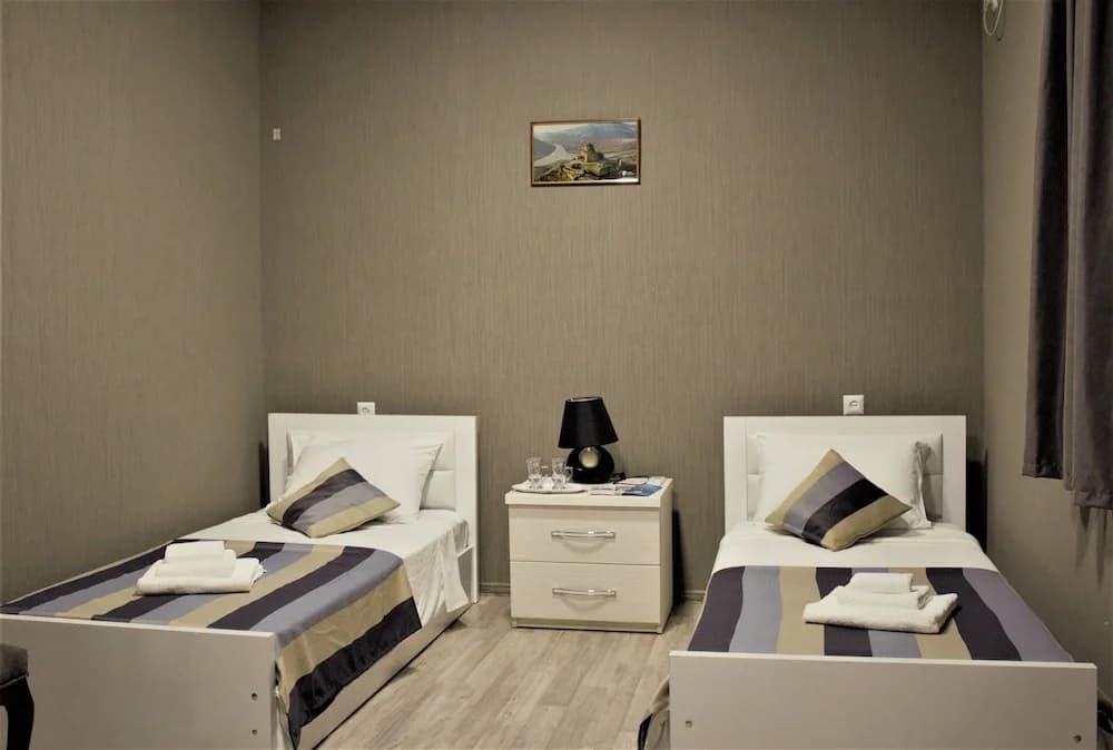 Twins Guesthouse - photo 4