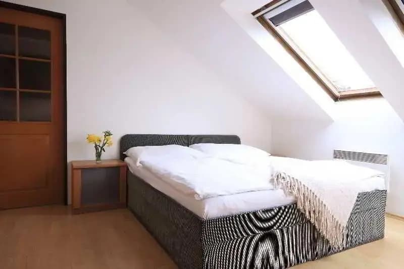 Jungmann Apartments - photo 3