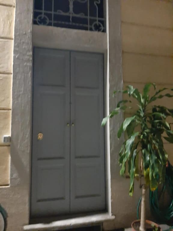 Savoia 19 - photo 2