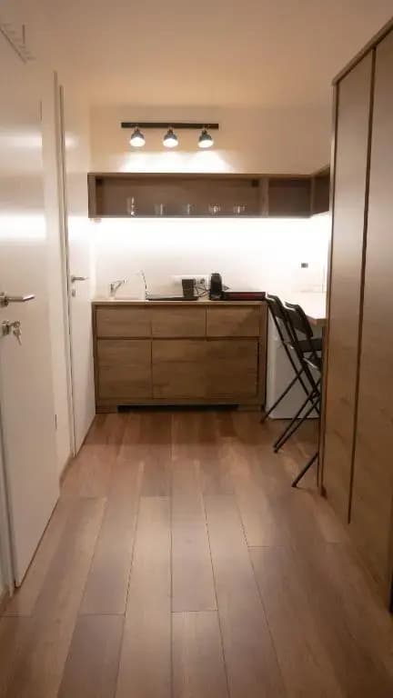Bachelor Apartment - photo 13