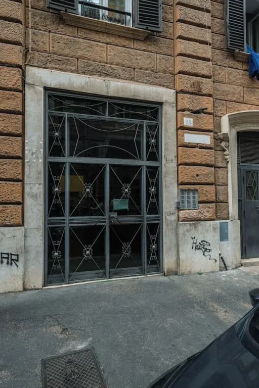 4 Leoni - photo 1