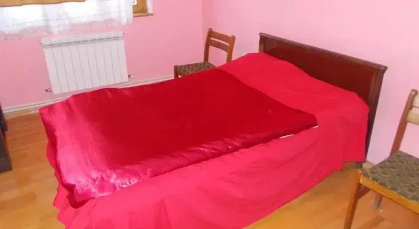 Mamuka Guest House - photo 6