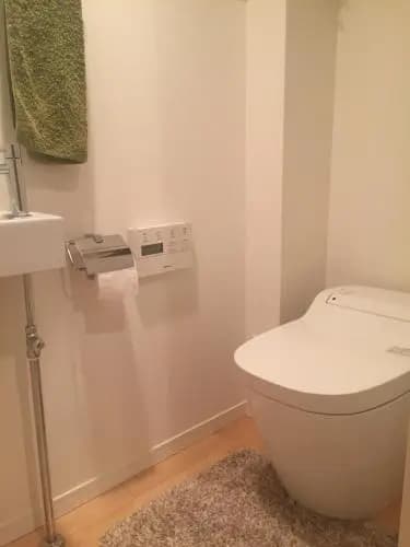 Luxury New House - photo 7