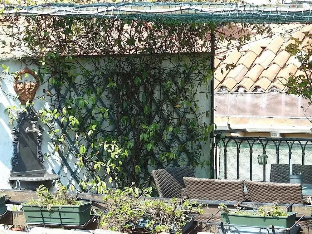 Residenza Contarini - photo 23