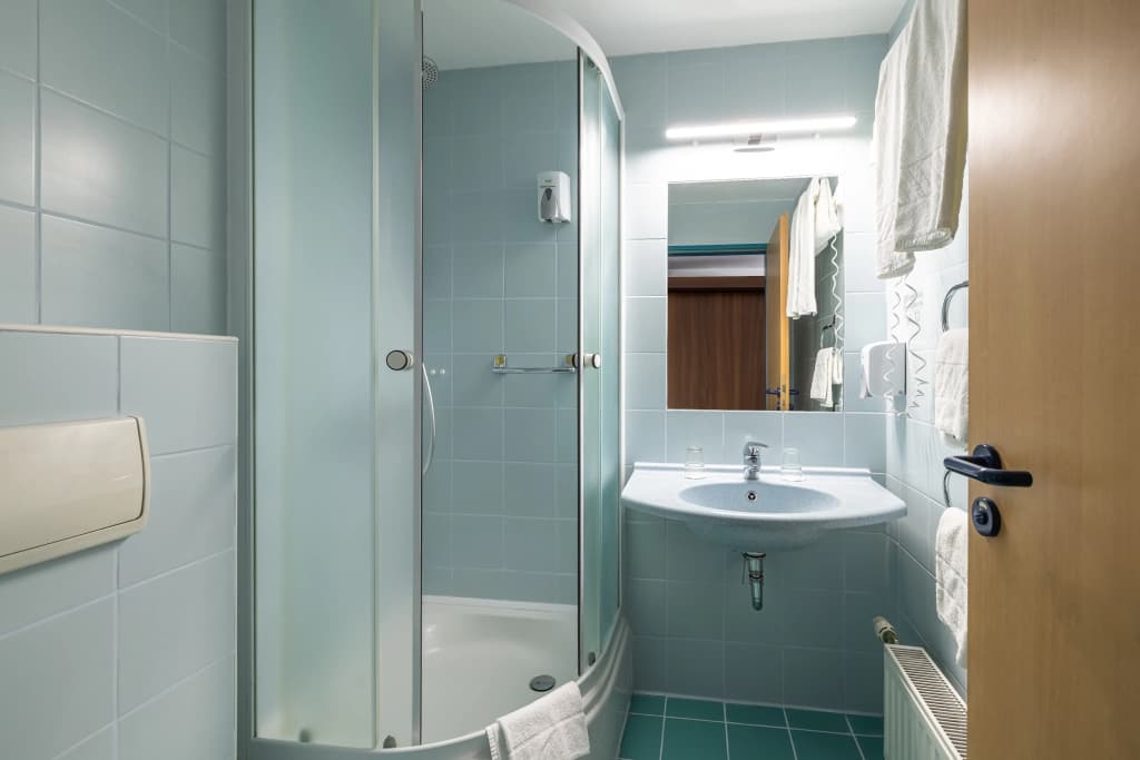 City Hotel Matyas - photo 10