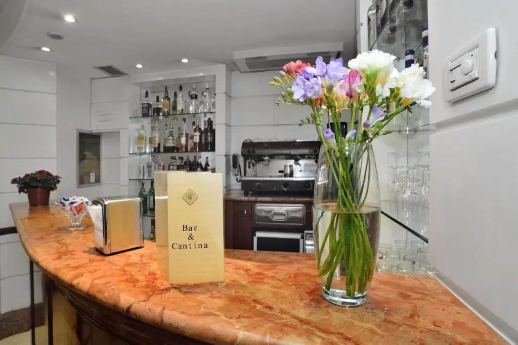 Hotel Hiberia - photo 12