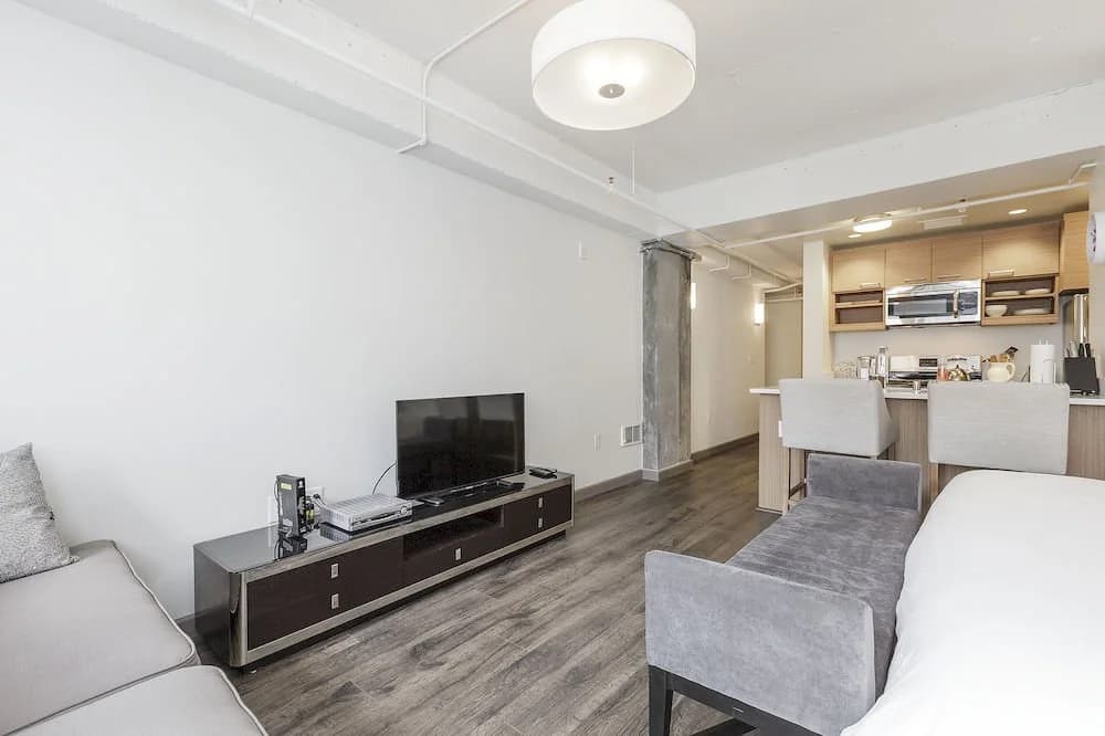 Soma Lofts Apartment - photo 5