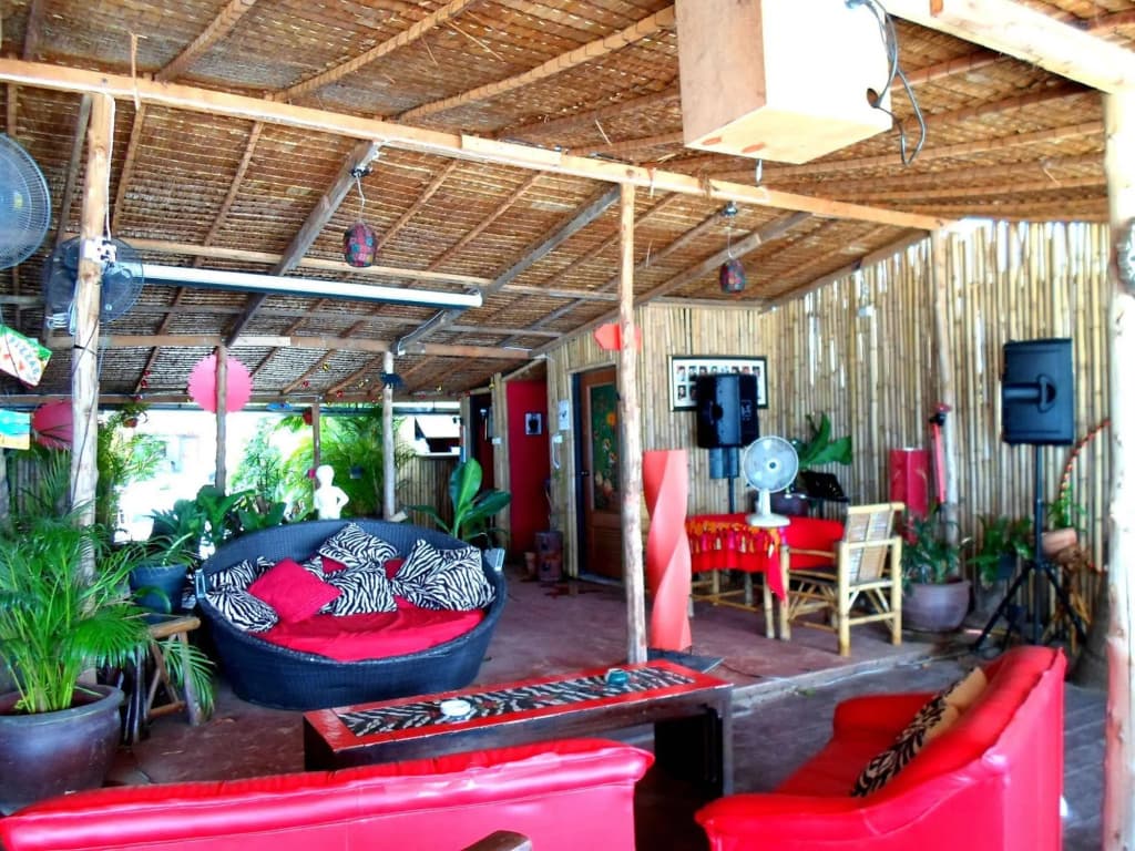 Tropical Footprints - photo 16