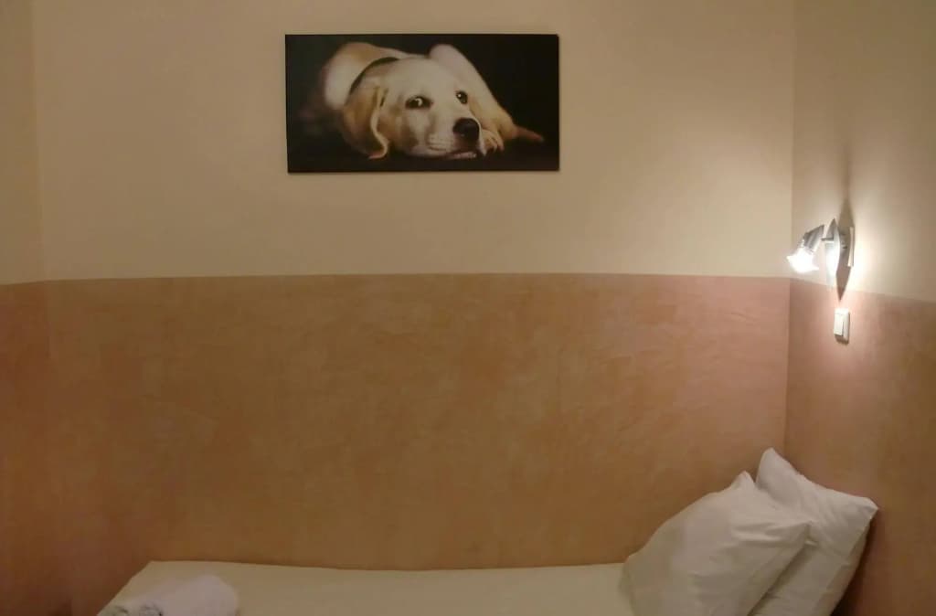 Hotel Neutraal - photo 6