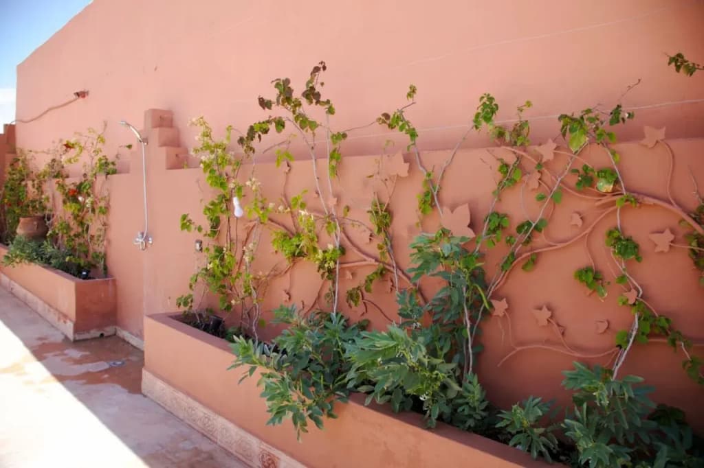 Riad Kech One & Spa - photo 16