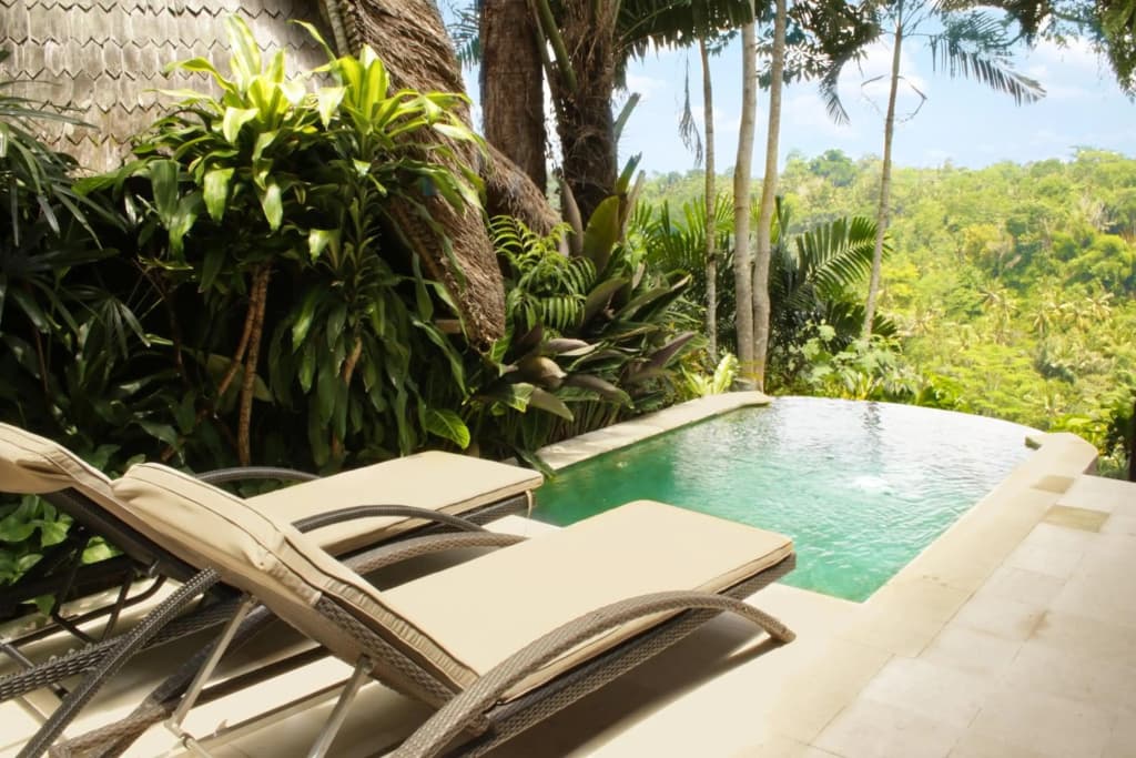 Kupu Kupu Barong Villas & Tree Spa Hotel - photo 28