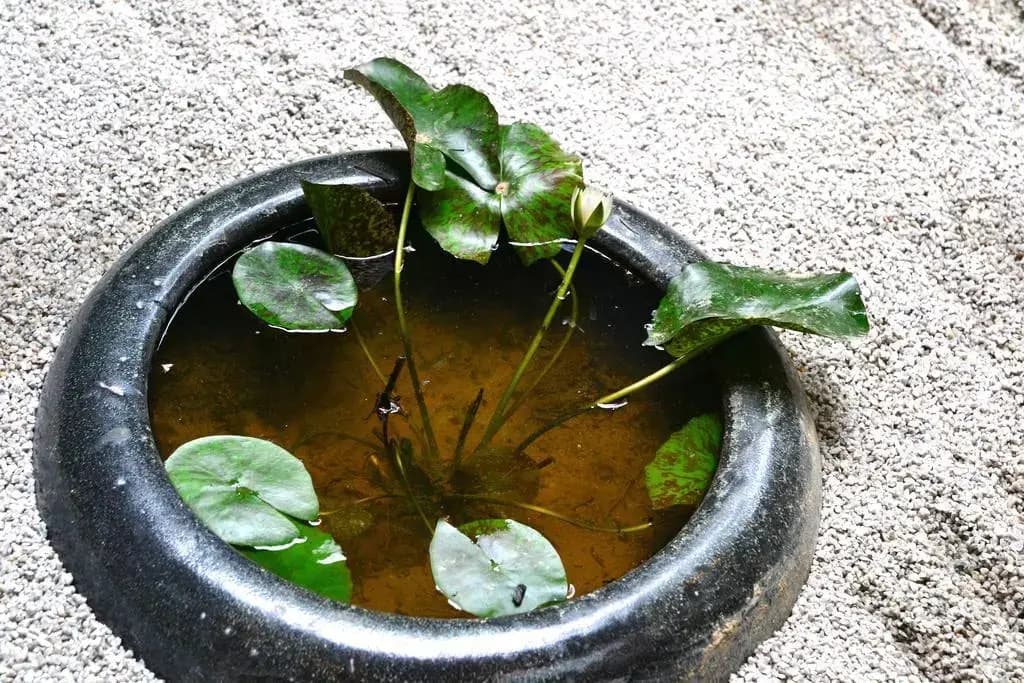 Gojo Miyabi Inn - photo 19