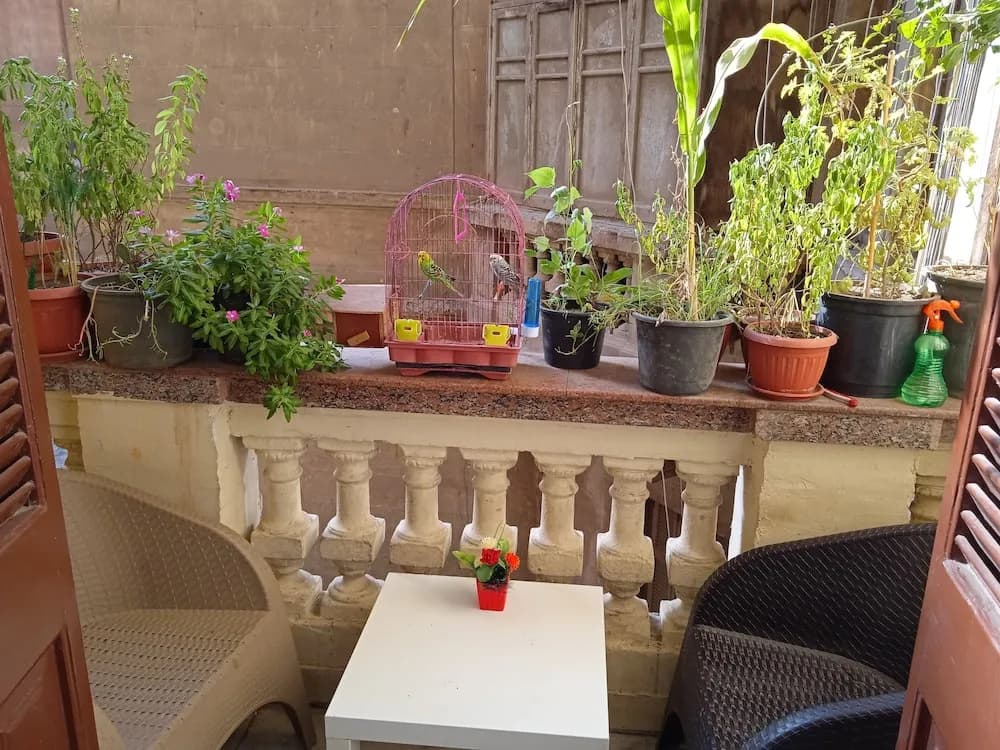 New Hostgram Hotel - photo 17