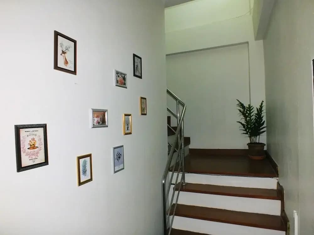Lisnimman - photo 12