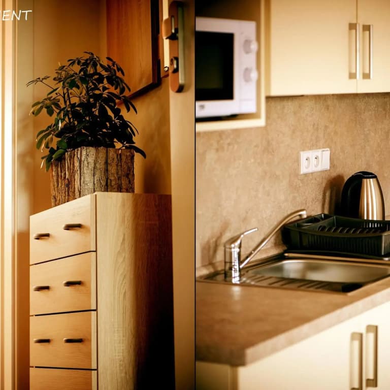 Hotel Otakar - photo 23