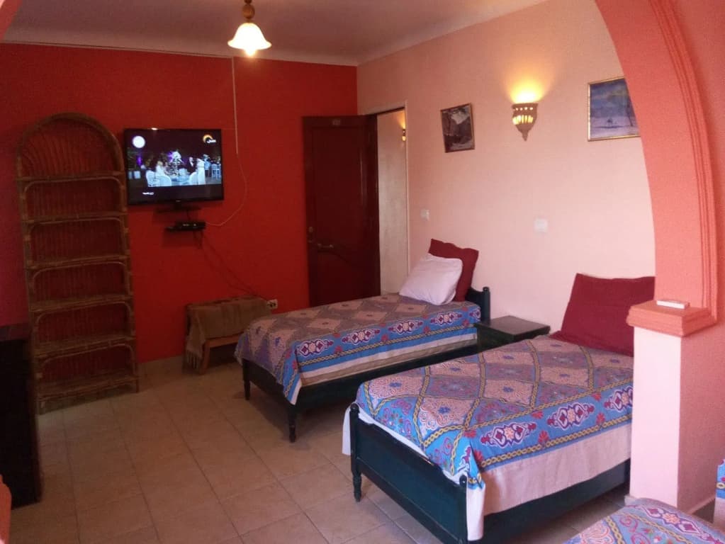 Osiris Hotel - photo 3