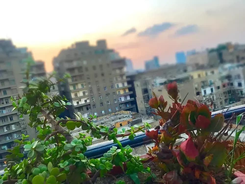 Down Town Hotel Cairo - photo 19