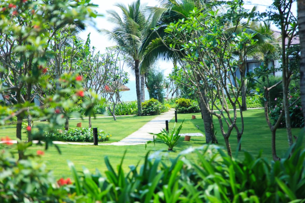 Sunrise Premium Resort Hoi An - photo 36