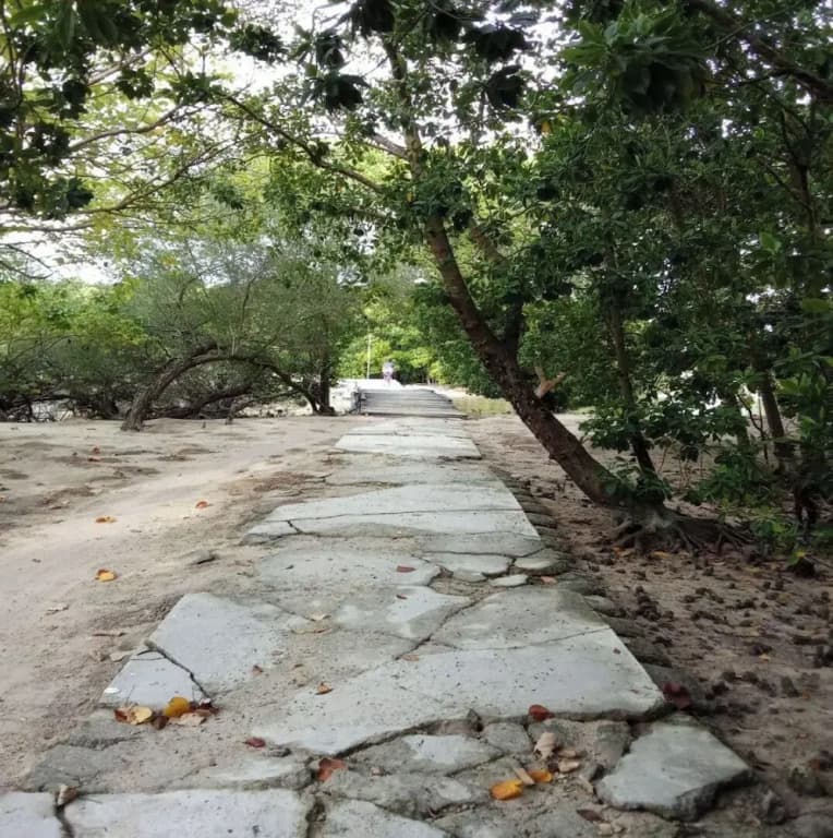 Sea Breeze View - photo 29