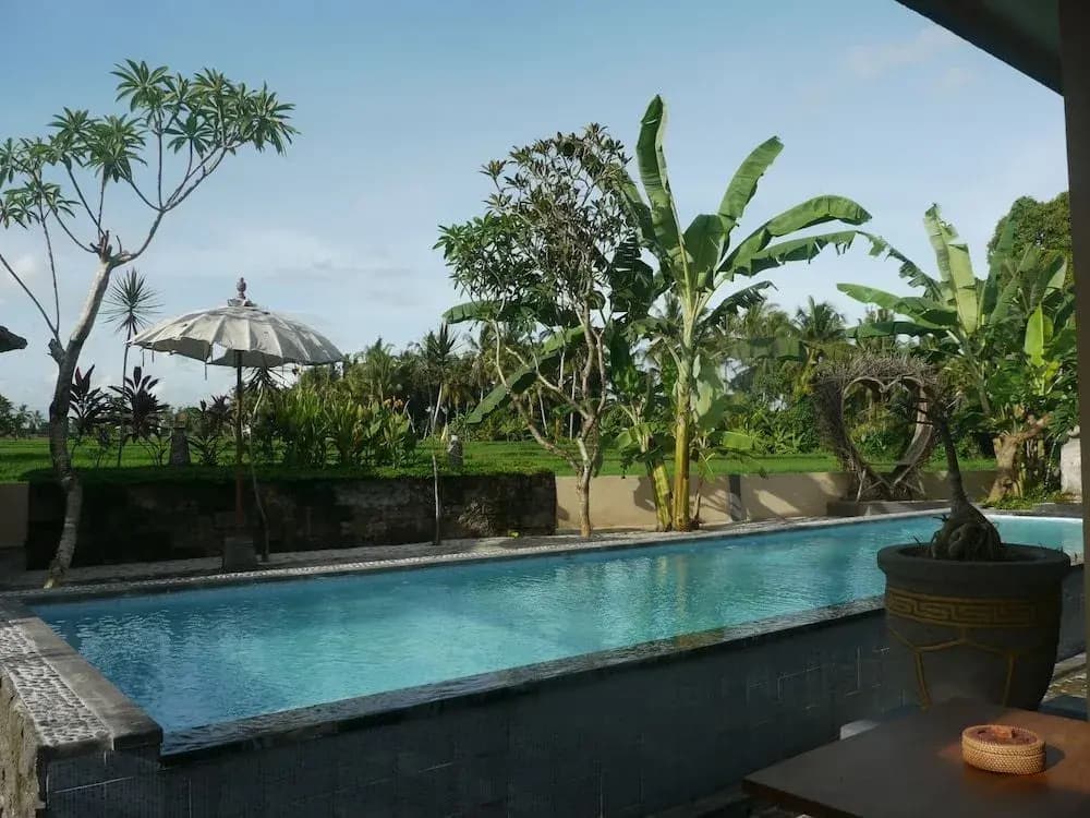 Asri Sari Resort Ubud - photo 14
