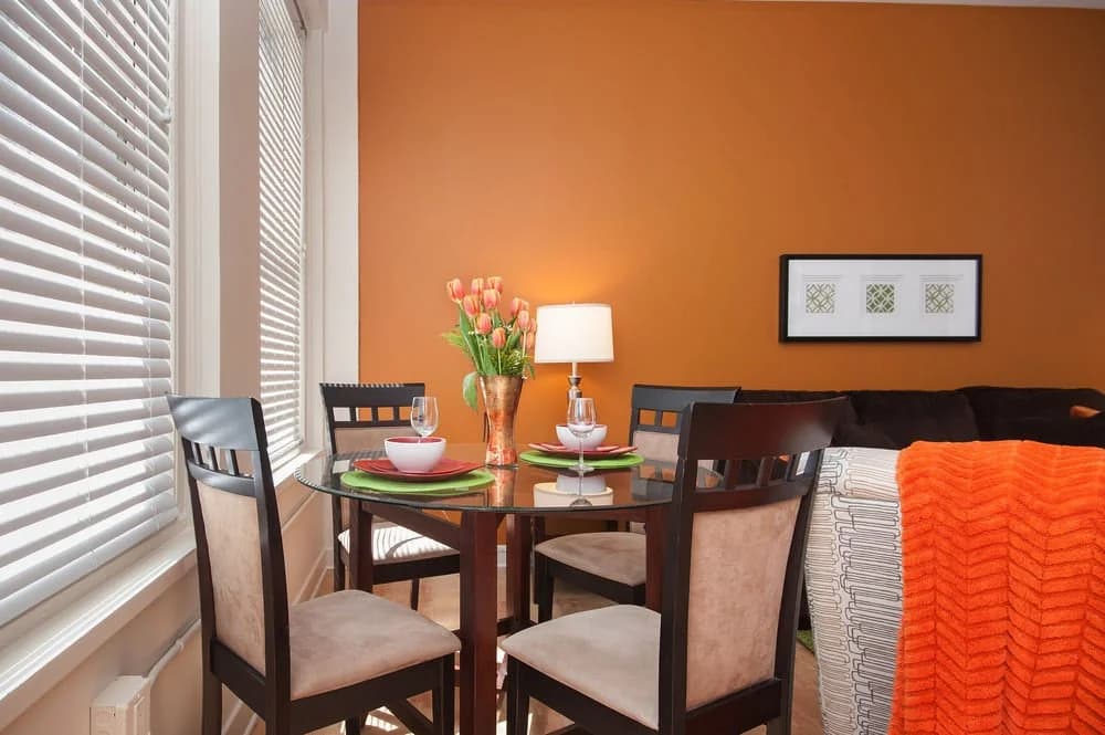 Sunshine Suites At 417 - photo 6