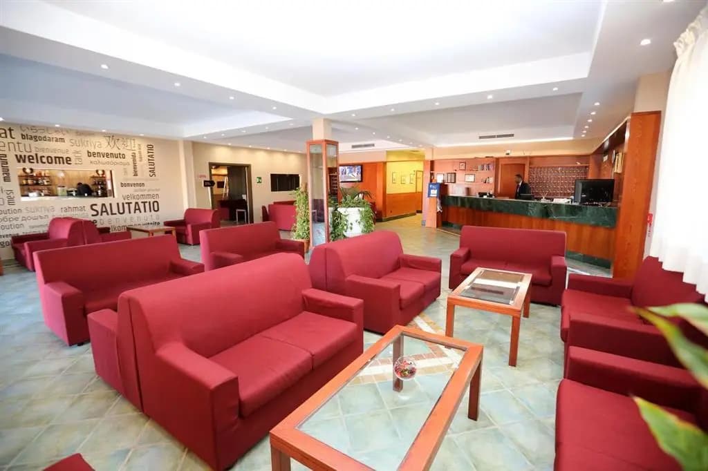 Hotel Palacavicchi - photo 20