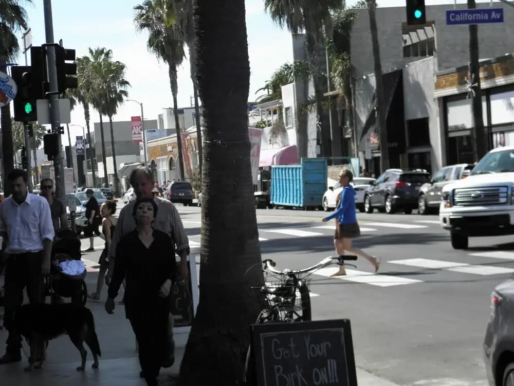 Abbot Kinney Apartment - photo 16