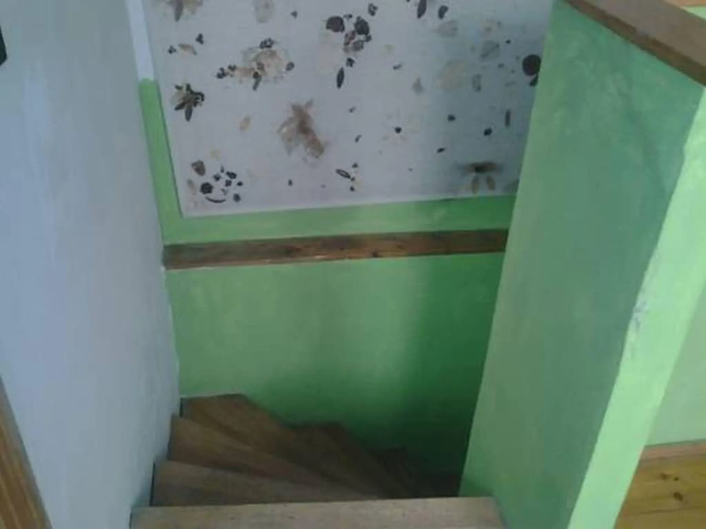 Amiga Hostel - photo 10