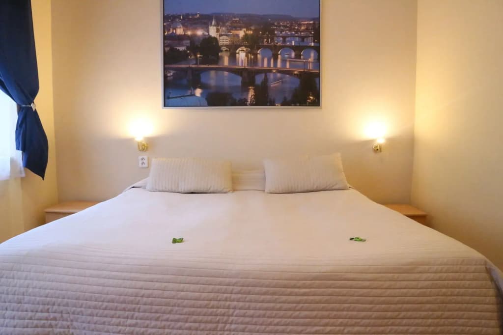 City Crown Hotel Prague - photo 7