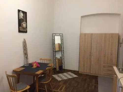 Apartment Ujezd - photo 3