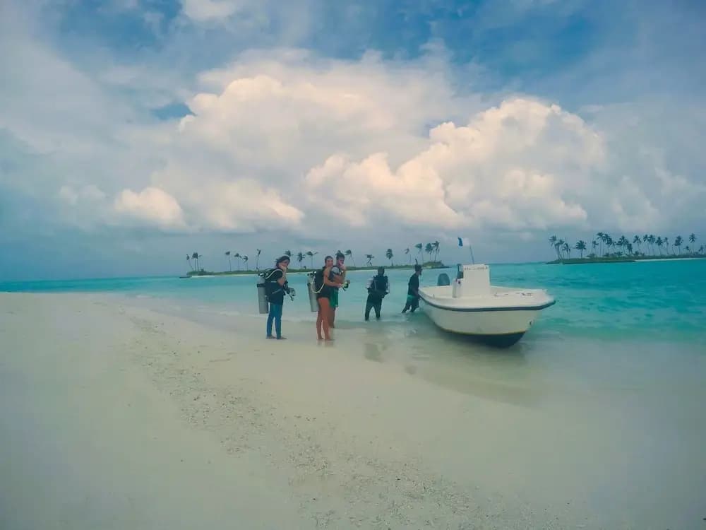 Annama Lodge And Dive - photo 19