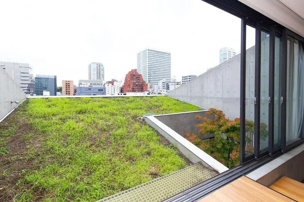 Grass Bldg - photo 6