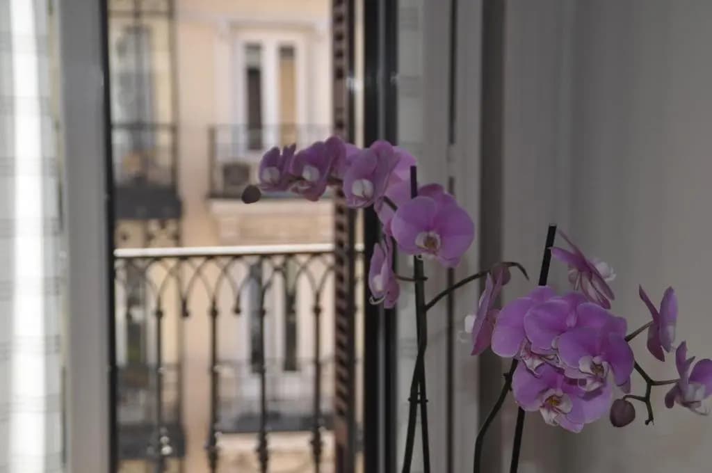 Hostal Patria - photo 10