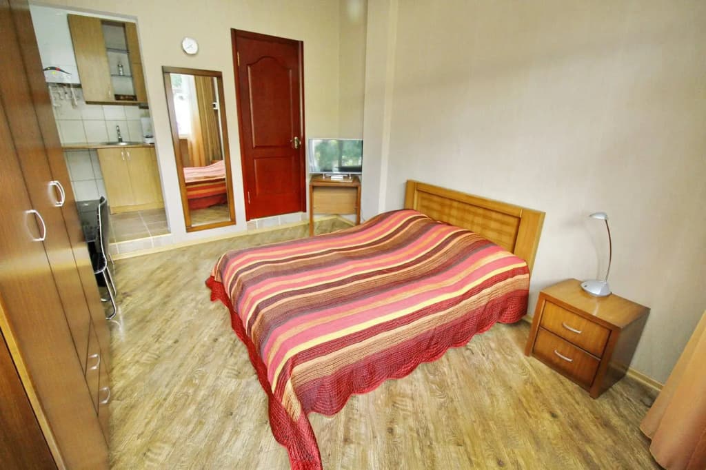 Hotel Irmeni - photo 4