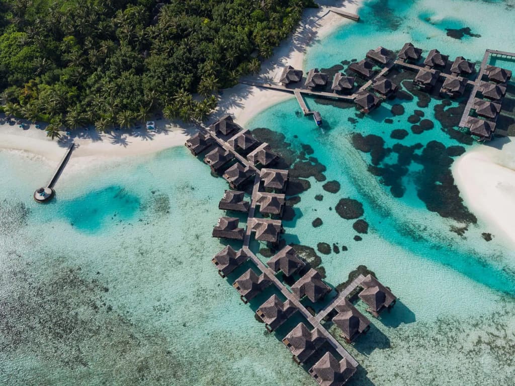 Anantara Veli Maldives Resort - Adults Only - photo 21