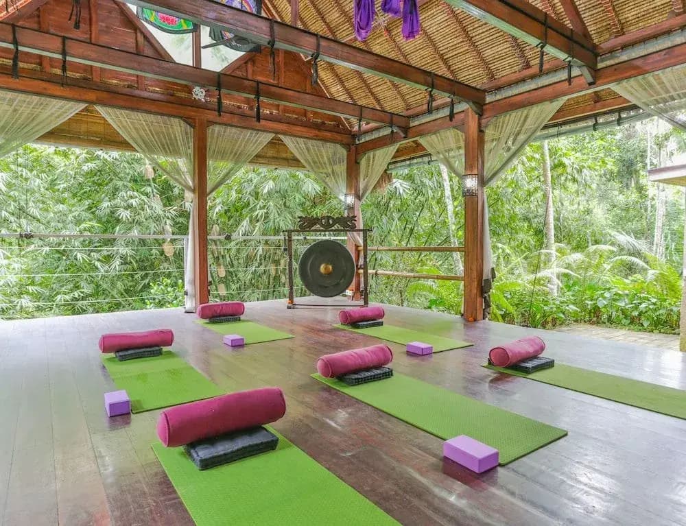 Basundari Retreat Bali - photo 22