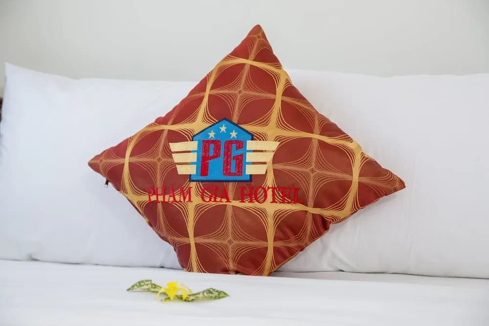 Pham Gia Hotel Danang - photo 4