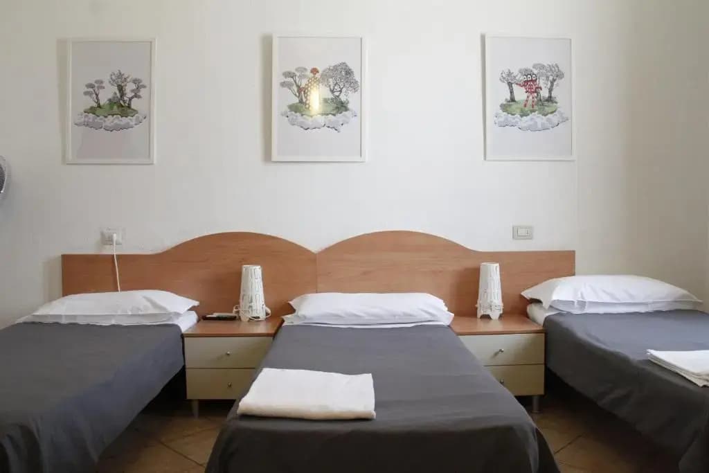 Hotel Alba - photo 2
