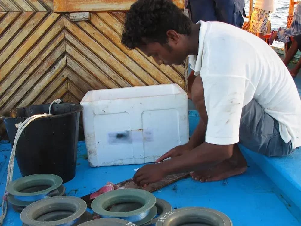 Suffix Retreat - Stay, Dive & Explore Fuvahmulah - photo 26