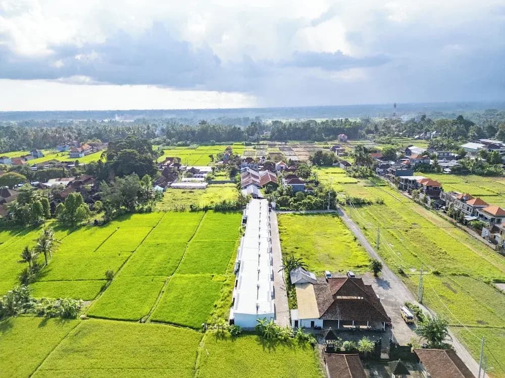 Green Flow Villa 22 - photo 16
