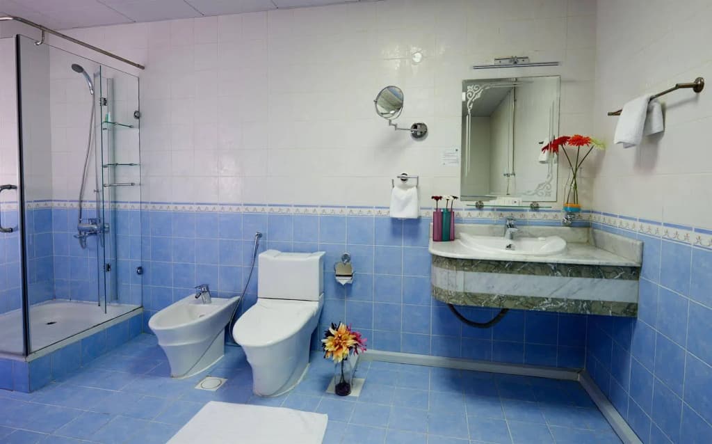 Al Safa Royal Suites - photo 8