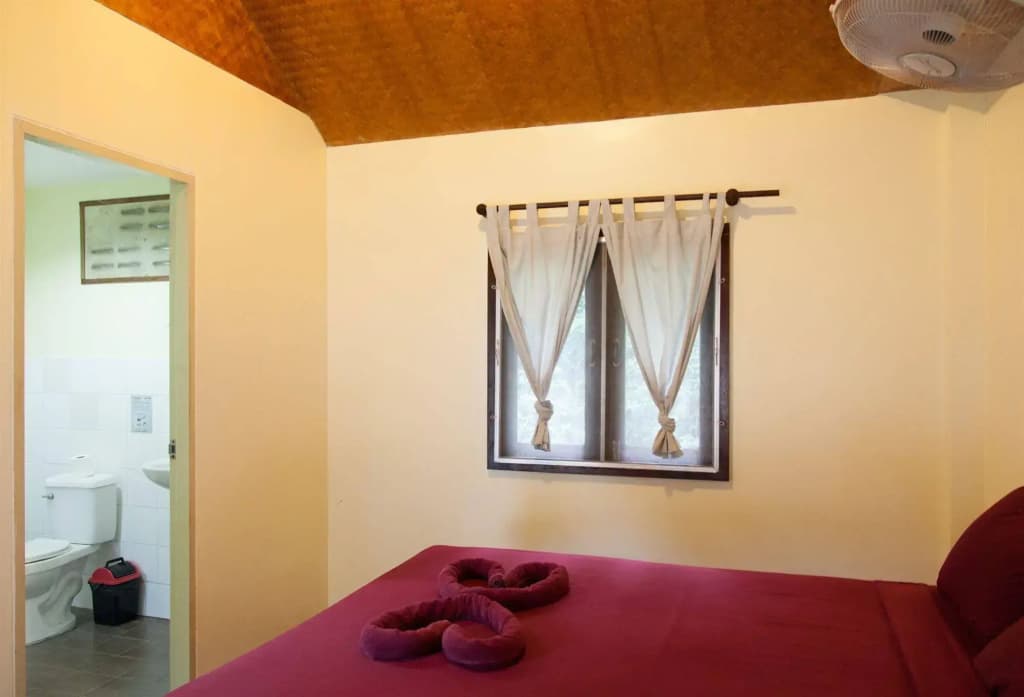Shiralea Island Resort - photo 2