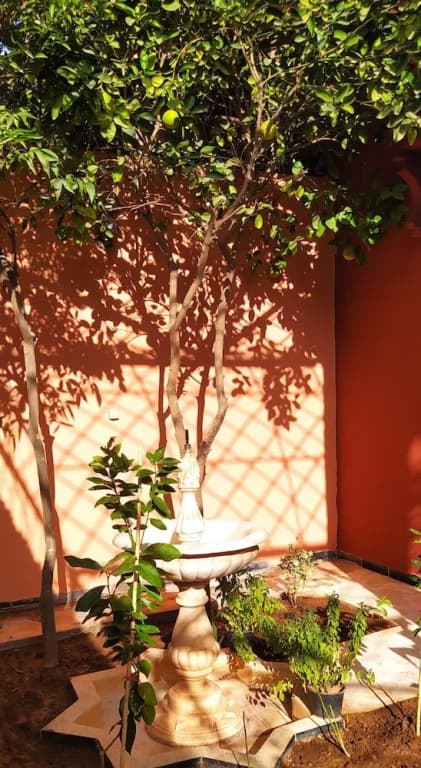 Le petit jardin Marrakech - photo 15