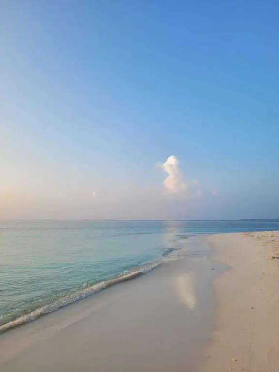 Fehi Velaa Stay - photo 7
