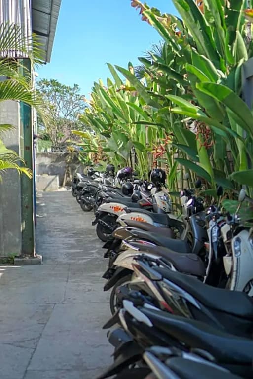 Tropical Canggu - photo 9